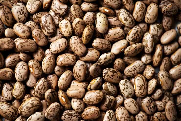 تصویر 5 از خرید و قیمت لوبیا چیتی + فروش عمده